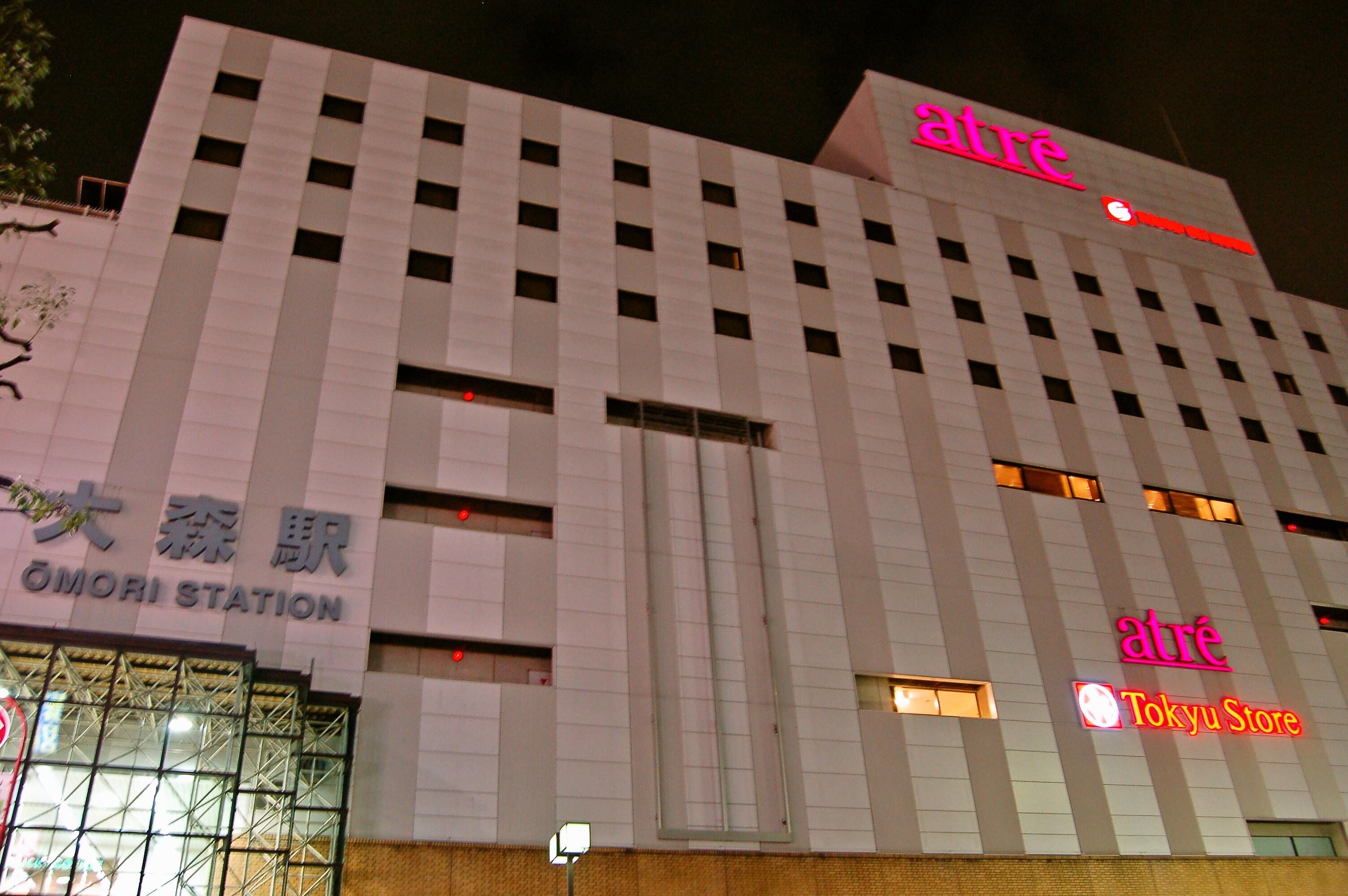 Omori Tokyu Rei Hotel Tokio Exterior foto